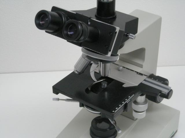 Microscopia A Contrasto Di Fase Edgianne